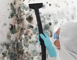 Best Emergency Mold Remediation in Colma, CA